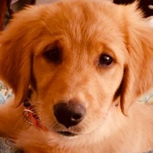 Meet your Posher, Clayton